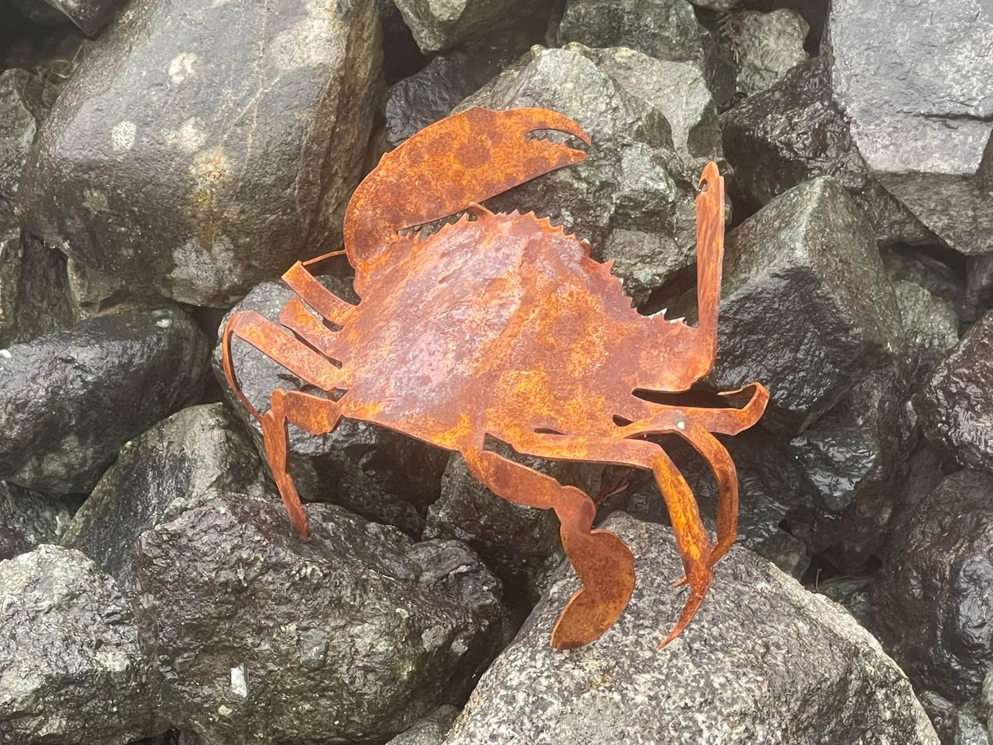 Steel crab close-up