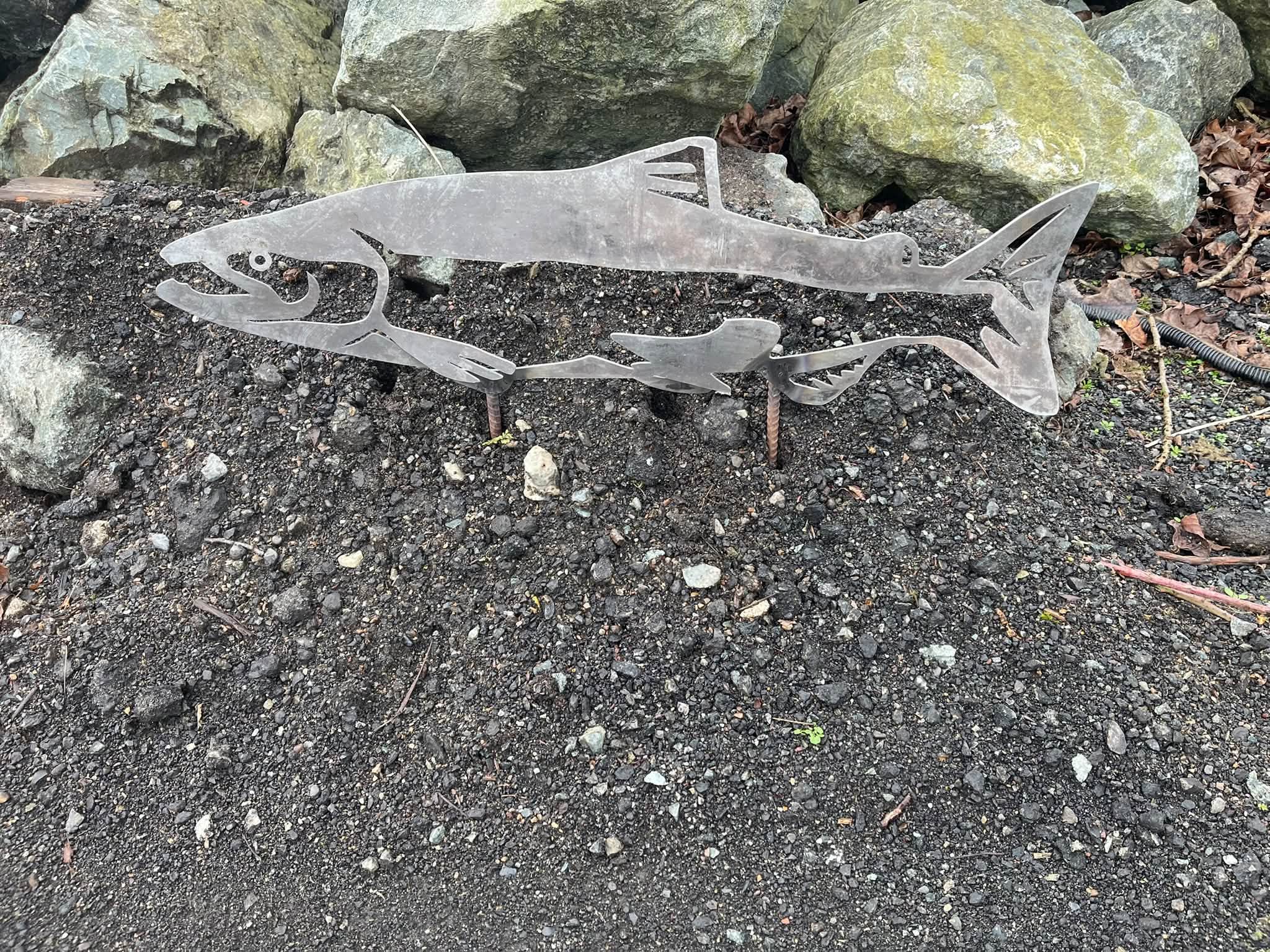 Plasma-cut salmon garden art